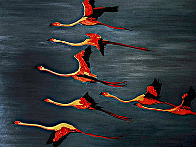 Flight Plan