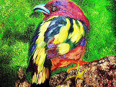 Bird 1