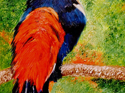 Bird 5