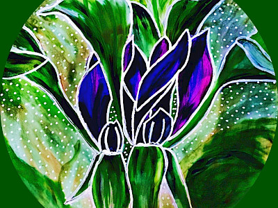 Purple Trillium